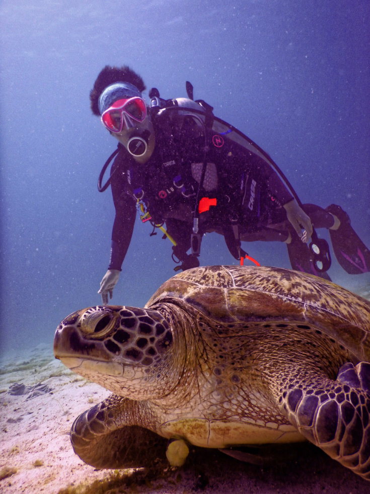 diver with turtle - PADI - SSI - scubly