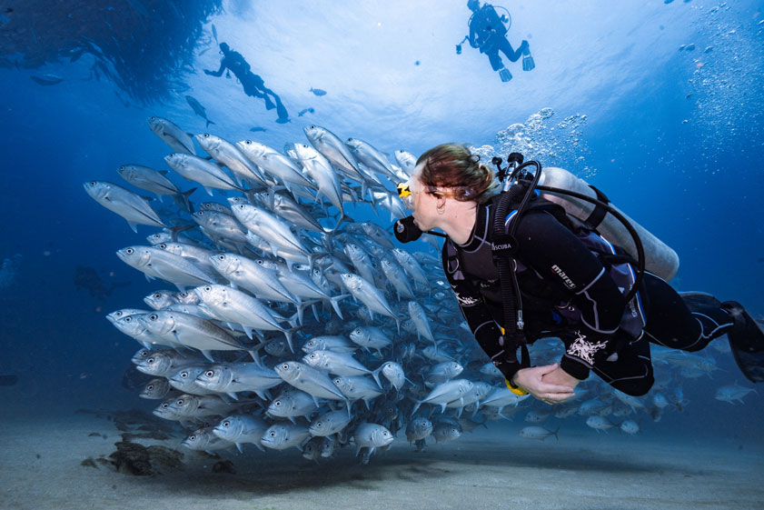 adaptive scuba diving - person scuba diving amidst a school of fish - scubly