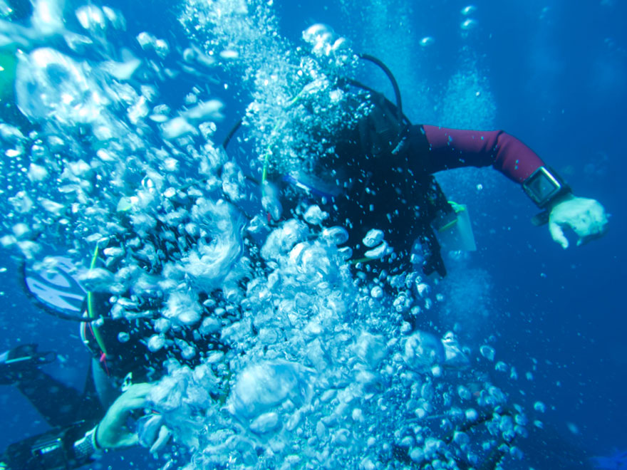 azores scuba diving - jumping into water - scubly