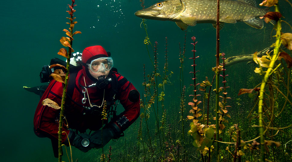 mastering dry suit diving techniques - lake echinger weiher diver - scubly