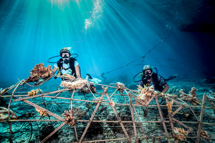 ocean exploration - underwater structure - scubly