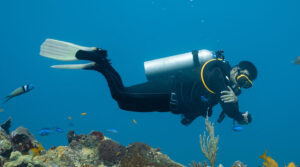 scuba divers and ocean conservation - coral reef and fish - scubly