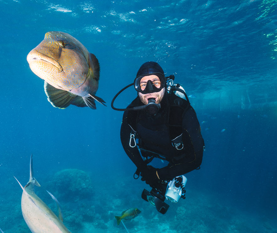 scuba diving and mental health - scuba diver and a fish - scubly